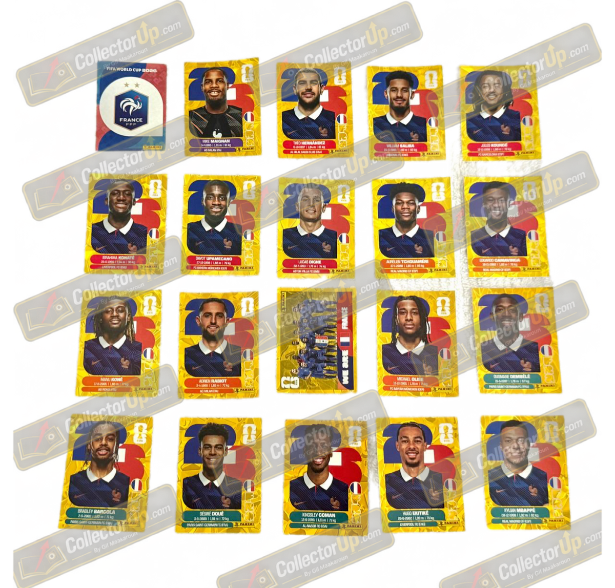 France — Gold Crumple Full Team Set
